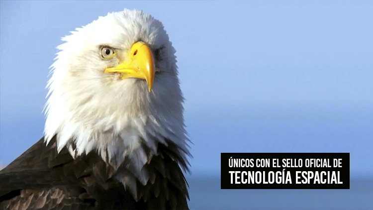 Eagle Eyes Eagle Eyes